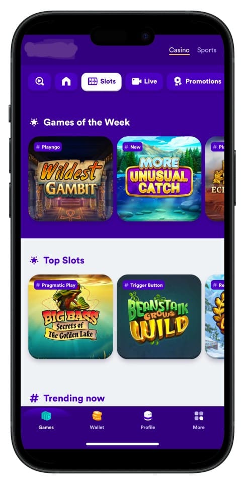 L444 অ্যাপ ইন্টারফেস স্ক্রিনশট—ইন্টুইটিভ মেনু ও পরিষ্কার লেআউট